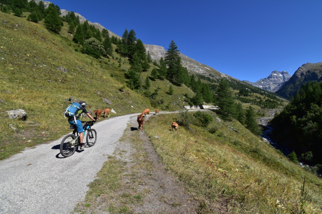 Piste entre l'échalp et le belvédère du Viso