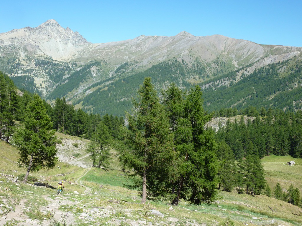 Fin de descente avant l'échalp