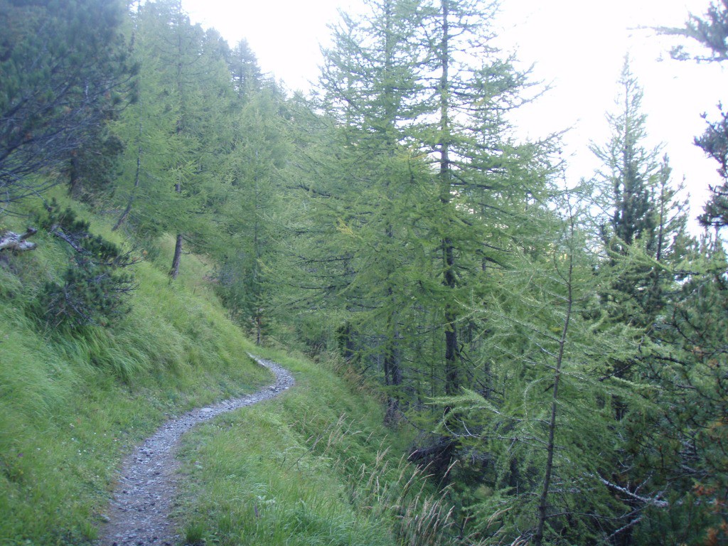 Dans la descente du Col d'Hurtières