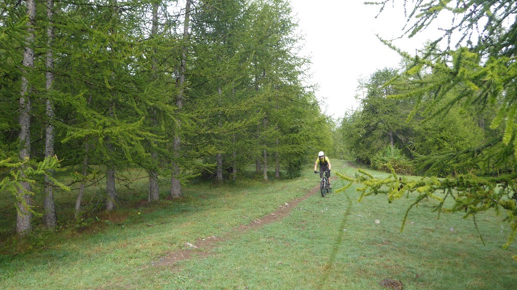 Jolie descente zipante