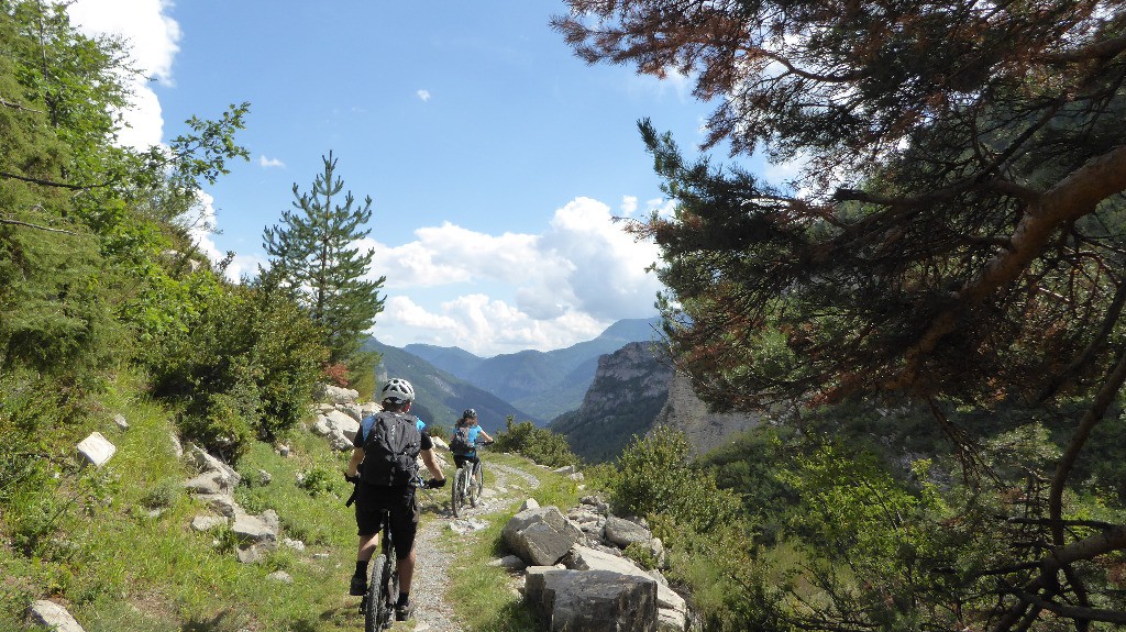 #25 Quel sentier ! Quel sentier !