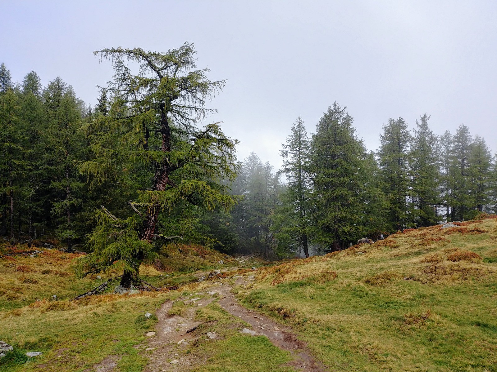 Jour 4 : ambiance dans la descente vers le col de la Forclaz