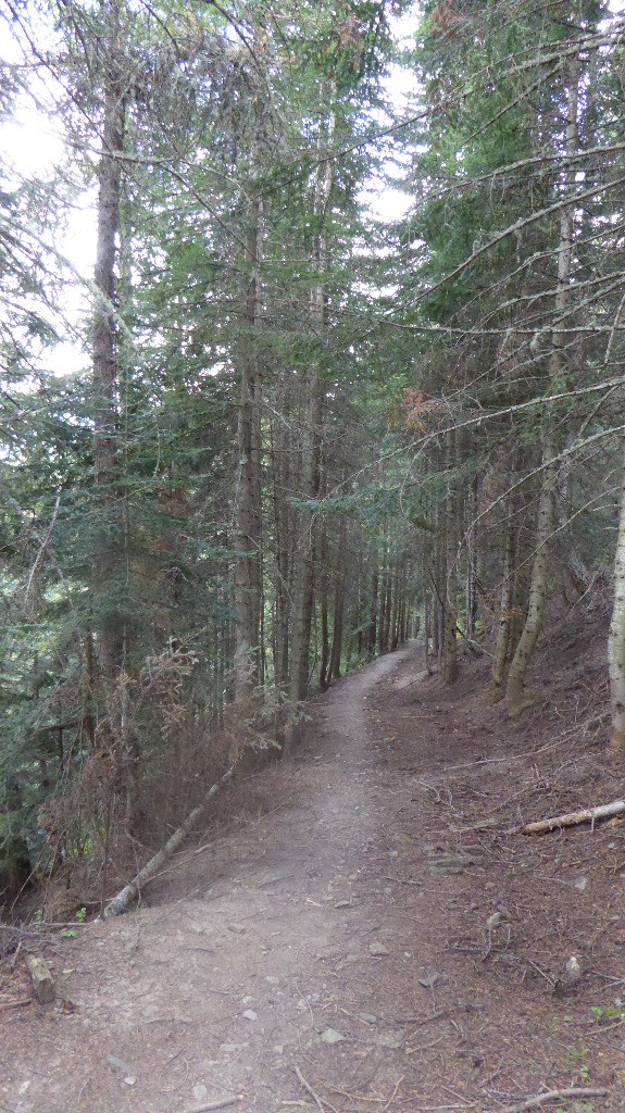 #26 Sentier des Fraches Sentier des Fraches