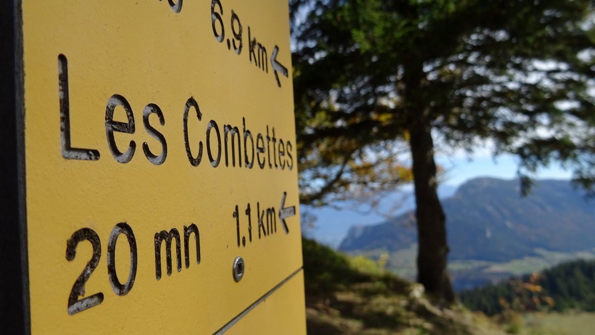 #5 c c'est par là !