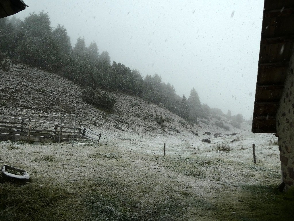 Au petit matin, la neige.