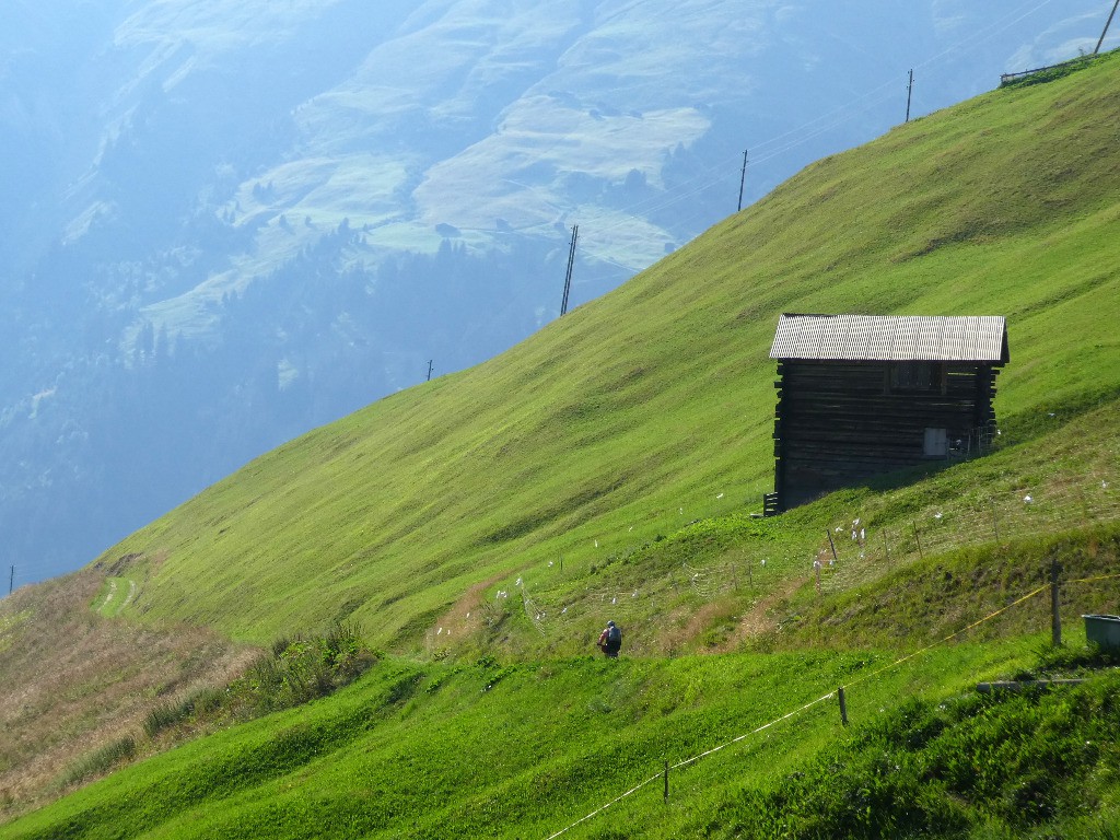 Glass pass