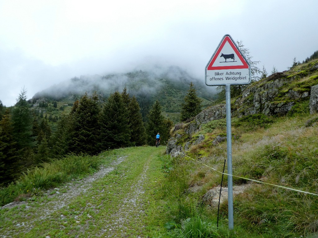 #93 Traduction (non litterale): Attention, une vache peut en cacher une autre... Traduction (non litterale): Attention, une vache peut en cacher une autre...