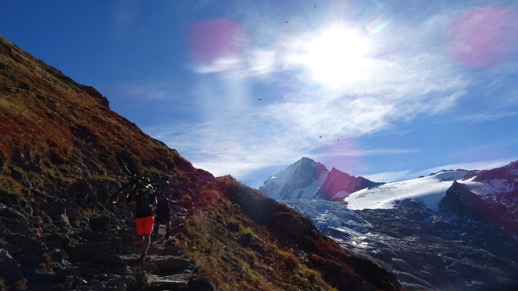 Glacier du Tour