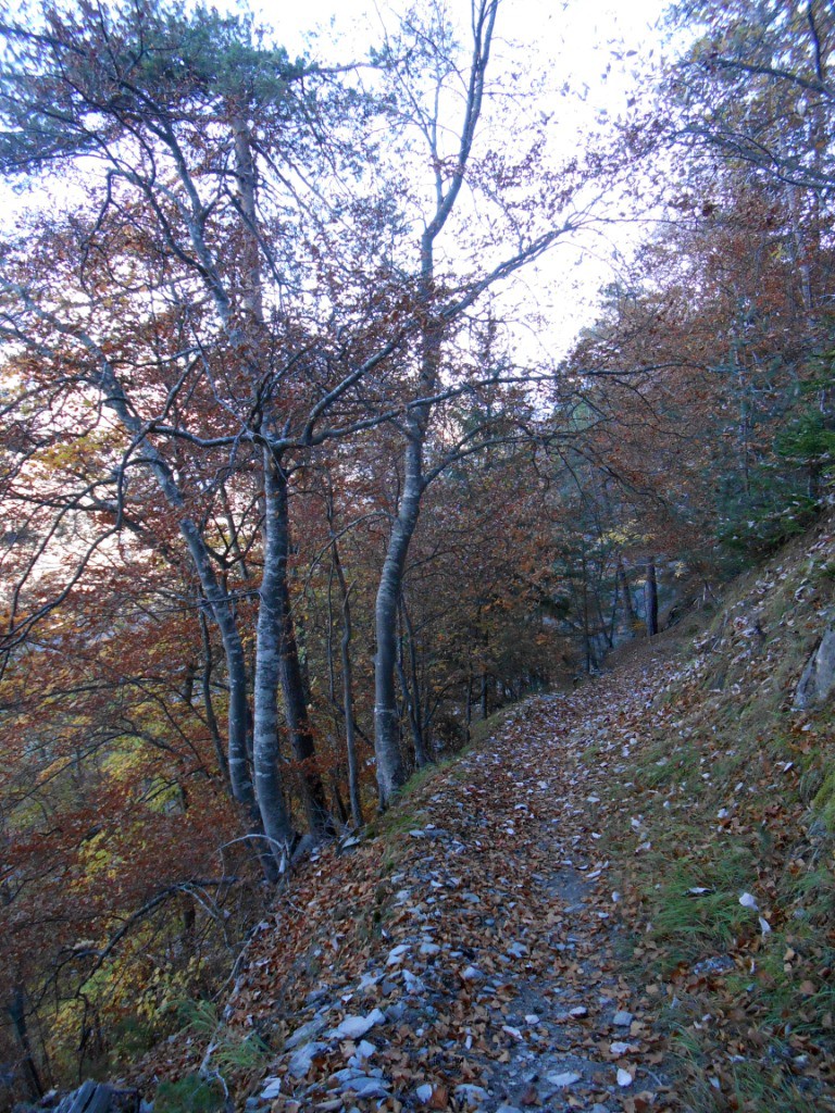 Sentier du facteur