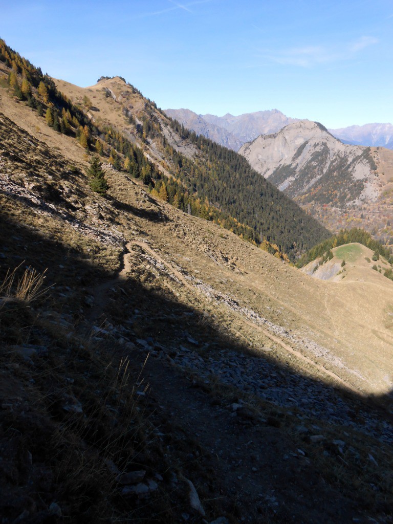 Partie re-piochée dans le Combe du Grand Renaud