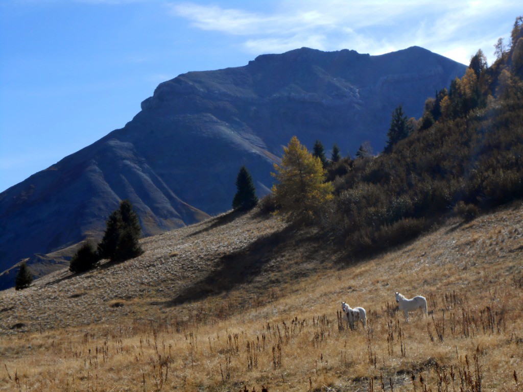 Col de Corbière