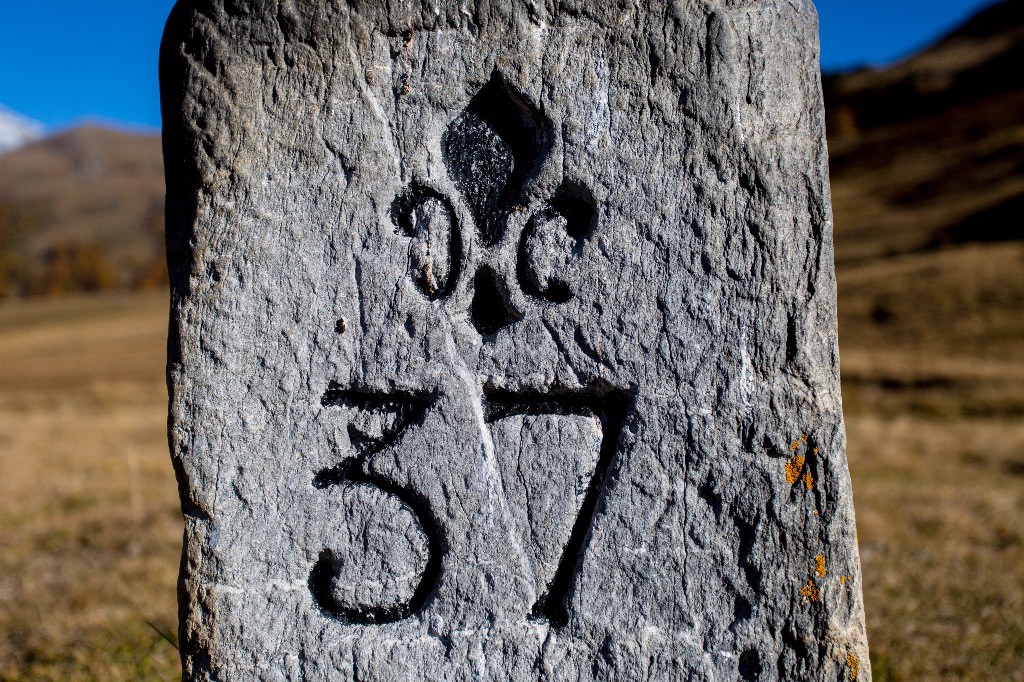 #42