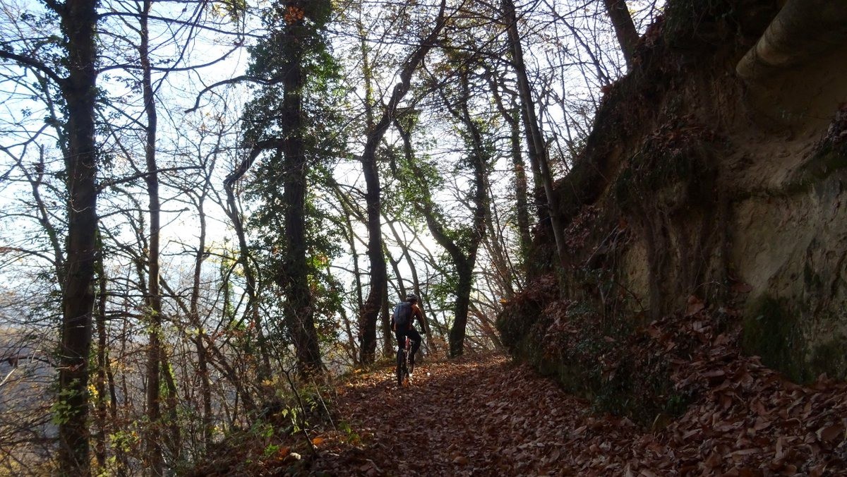 chemin de la Vouise