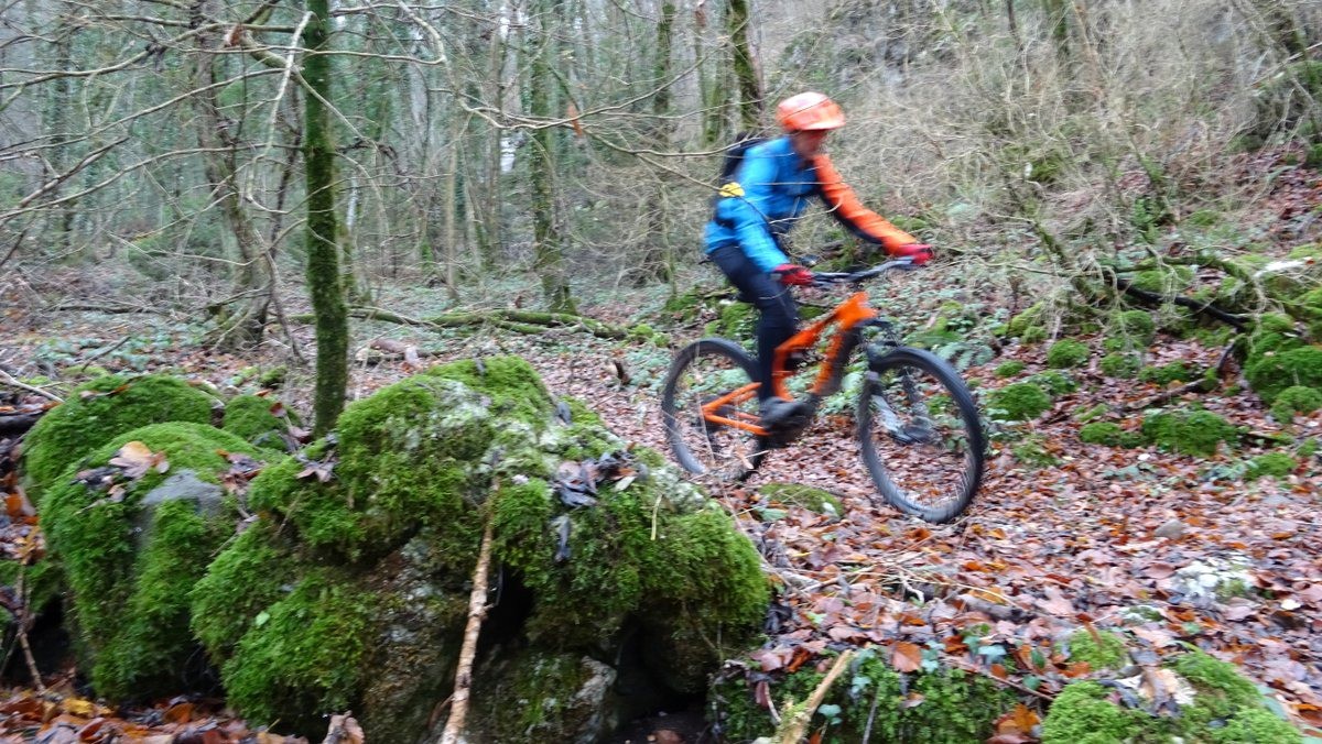 #9 Rochers bien moussus Rochers bien moussus