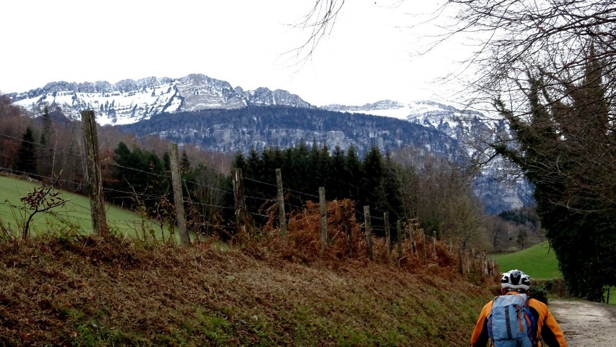 #5 Chartreuse Chartreuse