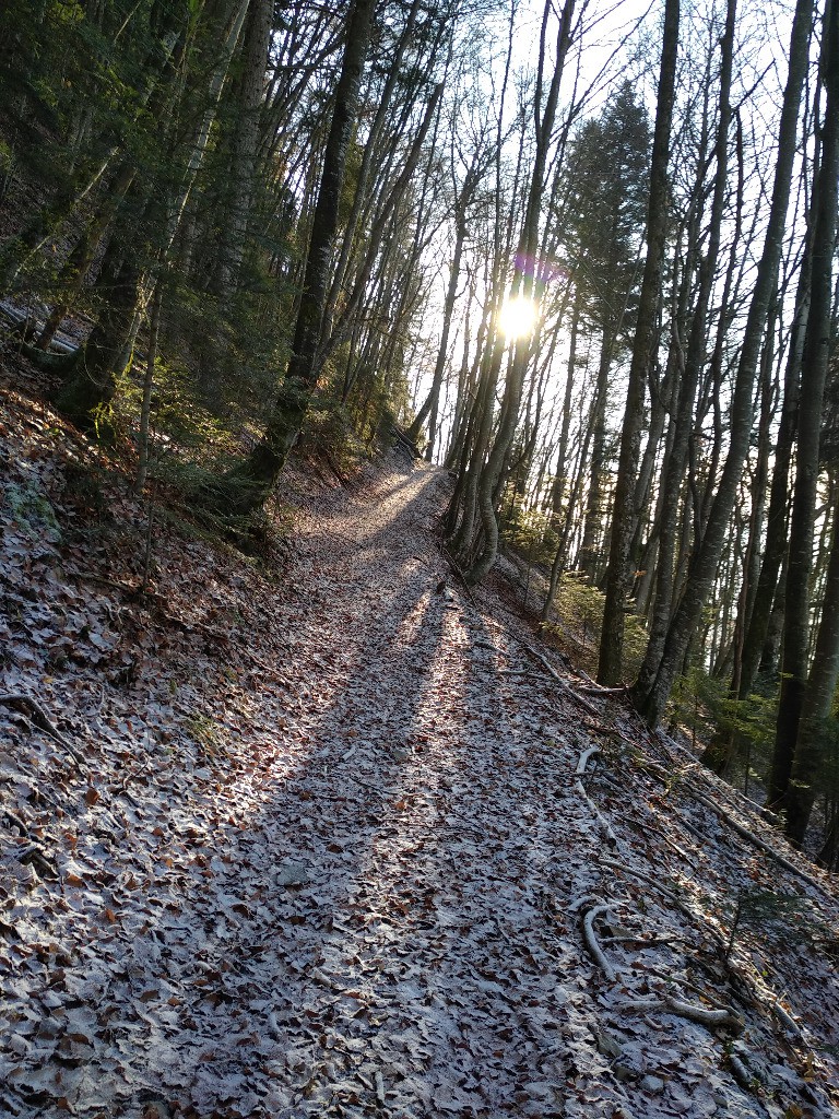 #8 Montée vers Jalafretaz Montée vers Jalafretaz