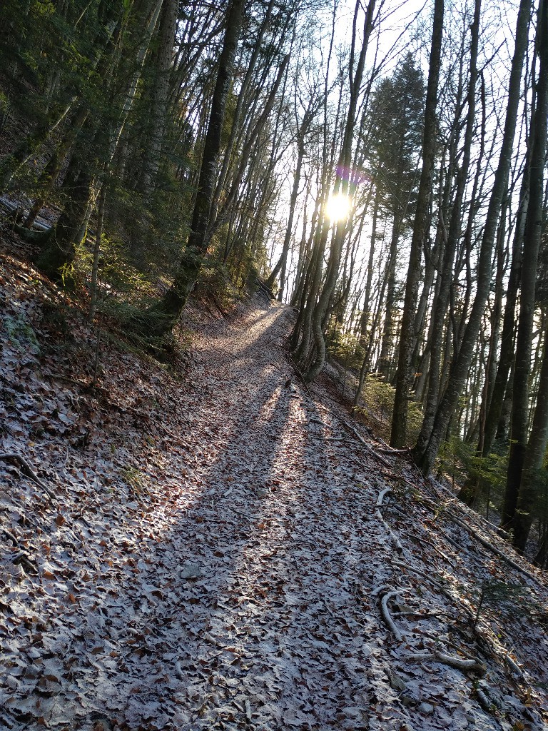 Montée vers Jalafretaz