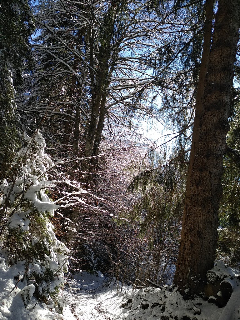 Montée au Col de la Frête 