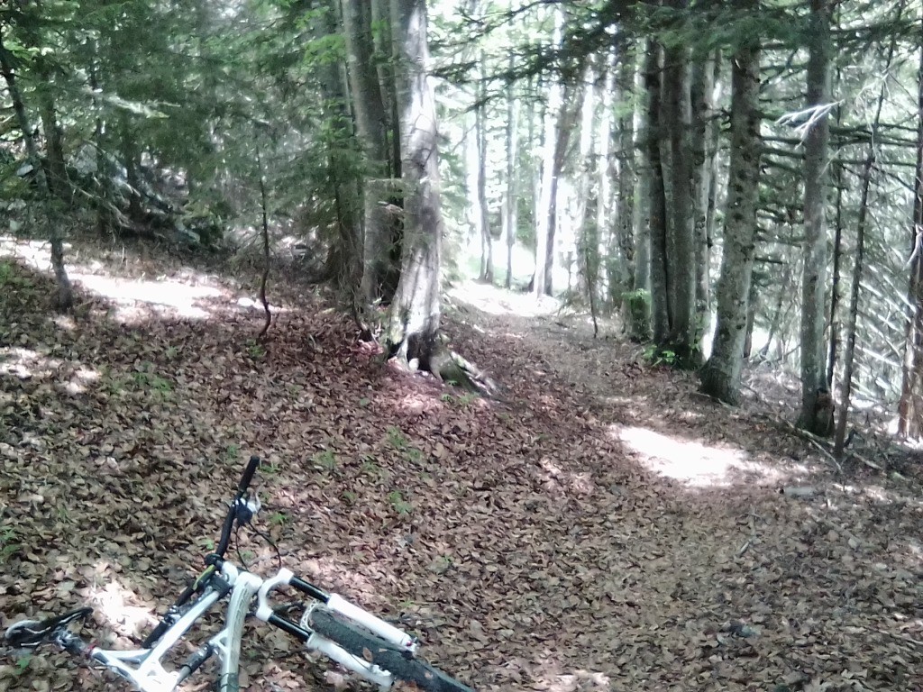 #3 début du sentier début du sentier