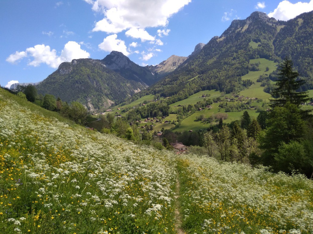 #31 MONTREMONT MONTREMONT