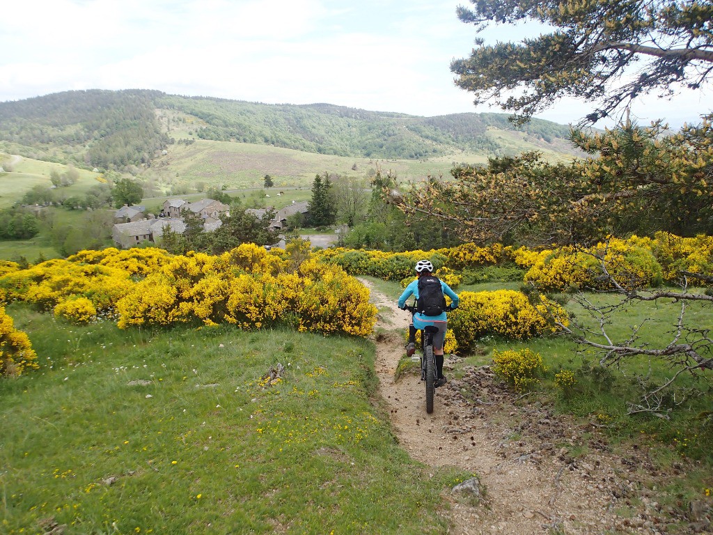 L'arrivée à Cabrillac après un passage "genêts qui gènent" !!!