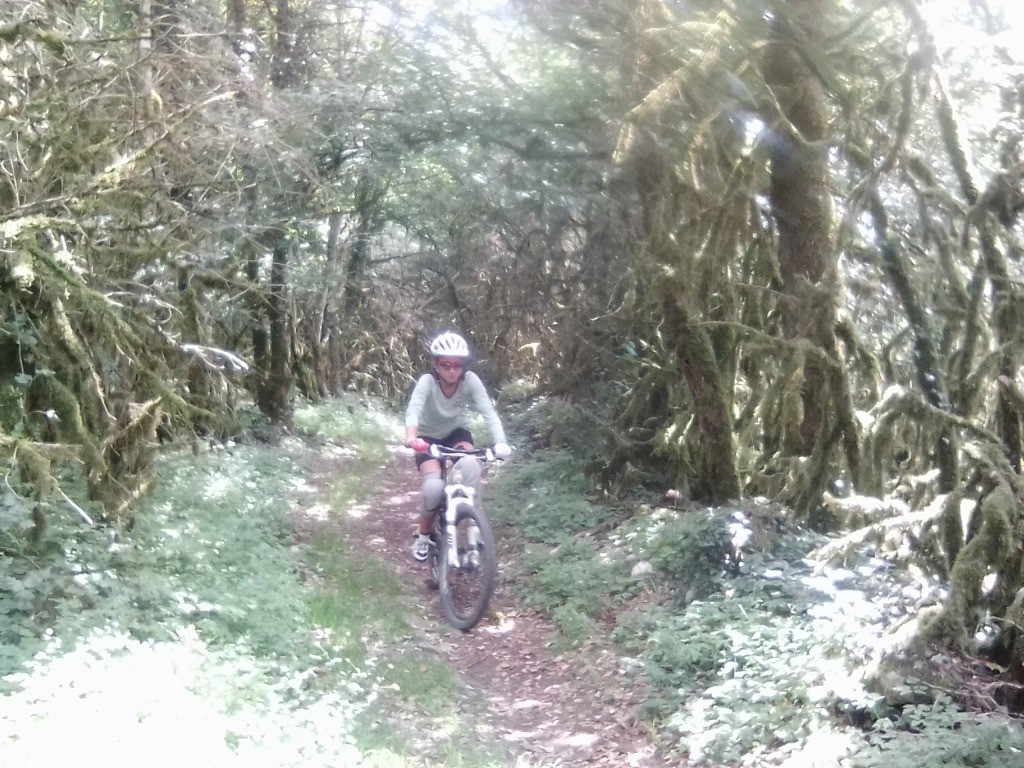 #1 La forêt de l La forêt de l'horreur dixit la naine !