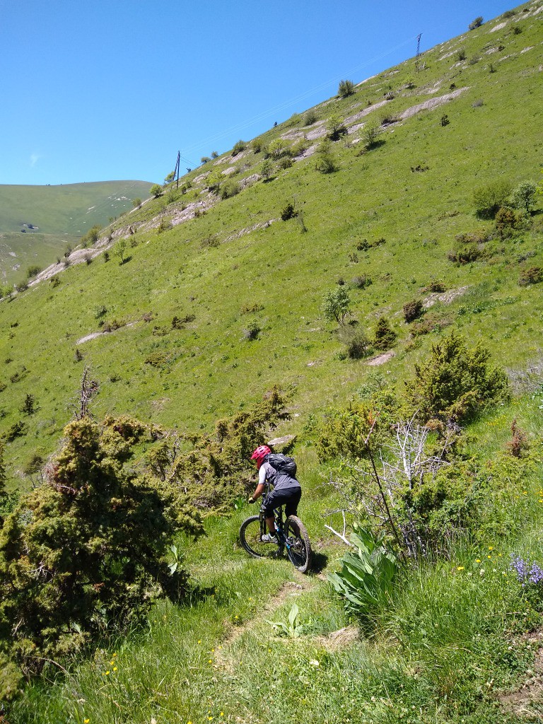 #7 descente NDDLS descente NDDLS