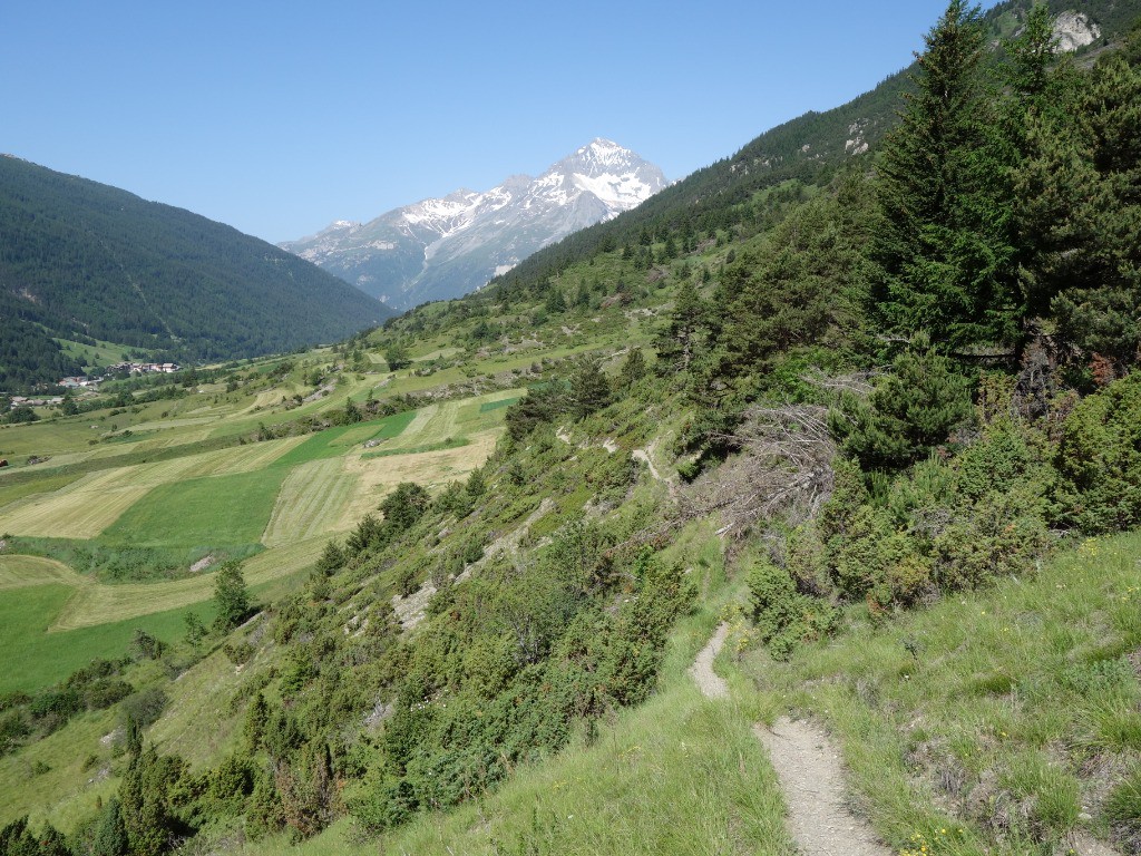 le début du sentier des chasseurs