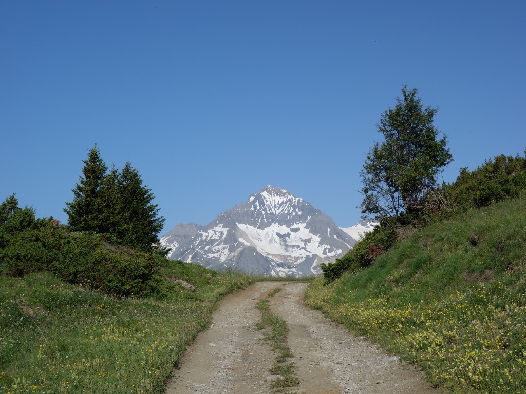 #1 the road to ze parrach the road to ze parrach' East
