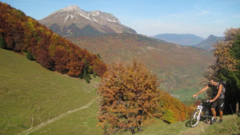 #3 Début du poussage : Sur fond de Mont Colombier Début du poussage : Sur fond de Mont Colombier