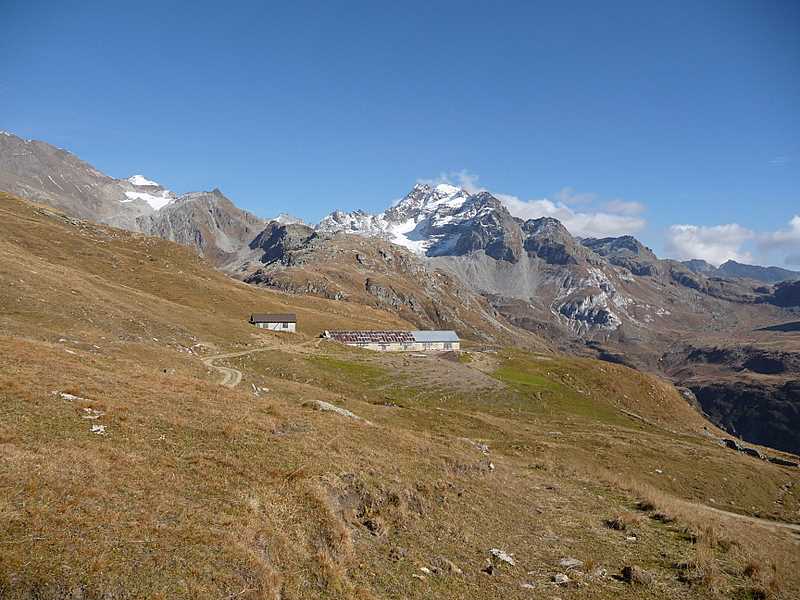 #6 Ofenhorn : Ofenhorn (Punta d Ofenhorn : Ofenhorn (Punta d'Arbola) depuis l'alpage de Wyssi