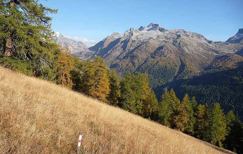 #9 Schinhorn : Gross Schinhorn Schinhorn : Gross Schinhorn