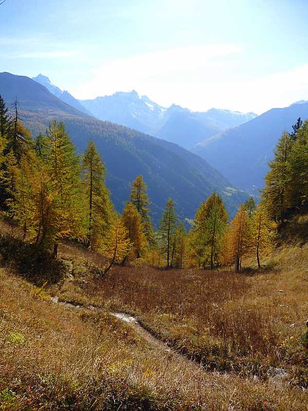 #8 Gandhorn : Descente sur Binn Gandhorn : Descente sur Binn