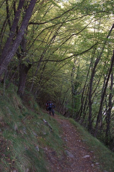#13 Poussettes : Ca monte aussi dans les feuillus pour rejoindre le Pas de la Capelette Poussettes : Ca monte aussi dans les feuillus pour rejoindre le Pas de la Capelette