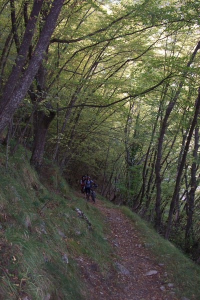 Poussettes : Ca monte aussi dans les feuillus pour rejoindre le Pas de la Capelette