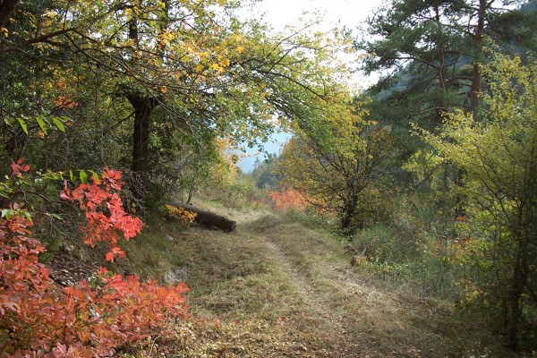 Descente du Pas d'Ongrand : Sous le col du Farguet, les couleurs automnales illuminent le parcours.