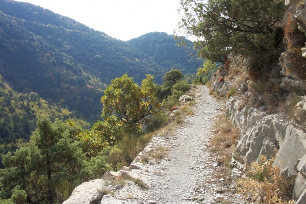 Direction col de l'Orme : Séance pédalage à présent !