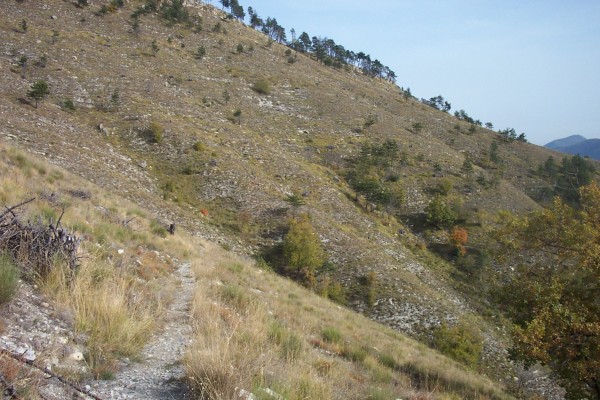 Sentier roulant : Entre la balise 179 et la piste