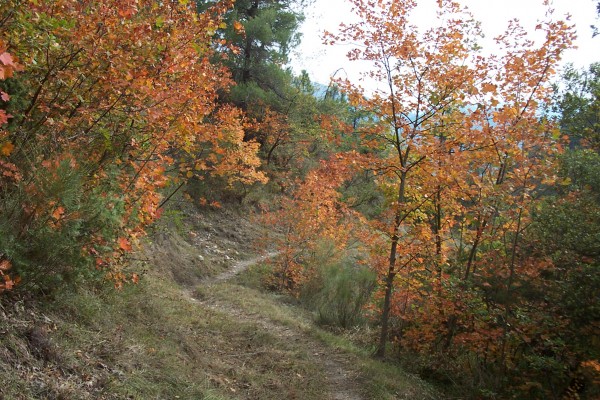 Descente du Pas d'Ongrand : Un peu plus loin, les couleurs sont encore plus chatoyantes.