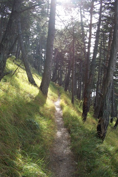 Après le col de l'Ablé : Sentier balcon