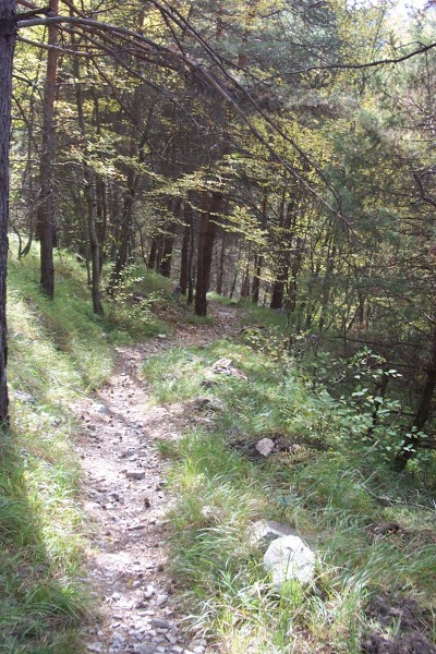 #17 Vers le pont de Sugliet : Descente très joueuse ! Vers le pont de Sugliet : Descente très joueuse !