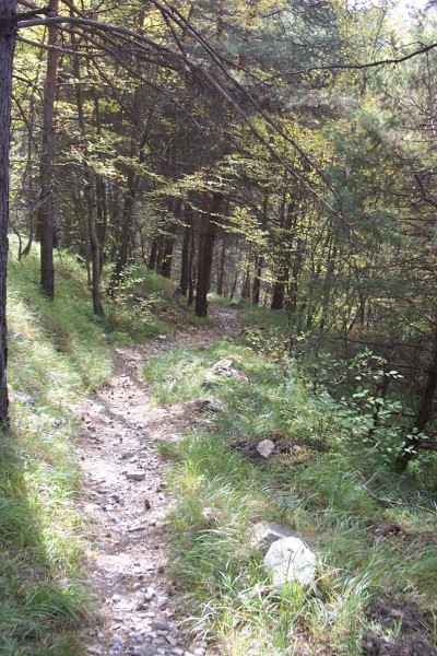 Vers le pont de Sugliet : Descente très joueuse !