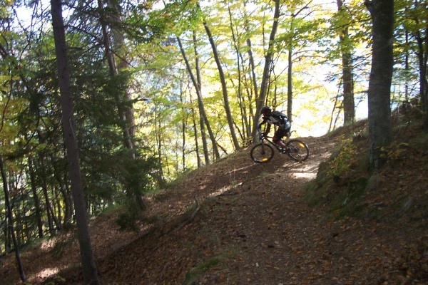 #6 Feuilles mortes : Genehoglan (posera ou posera pas le pied ?) Feuilles mortes : Genehoglan (posera ou posera pas le pied ?)