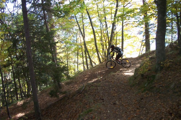 Feuilles mortes : Genehoglan (posera ou posera pas le pied ?)