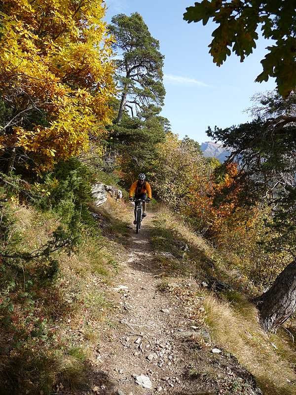 #9 Descente de Brischeru : Herbert dans la descente Descente de Brischeru : Herbert dans la descente