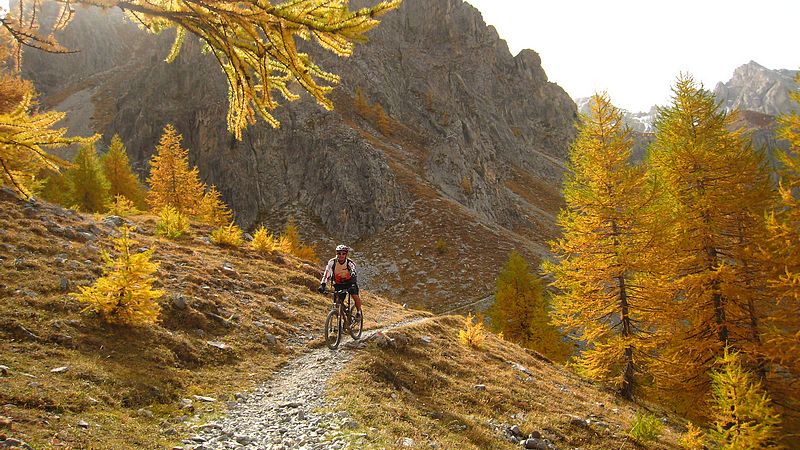 Col des Monges : les mélèzes flamboyants!