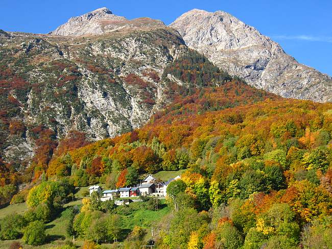 #1 Fourchu : L Fourchu : L'automne aux Gillards