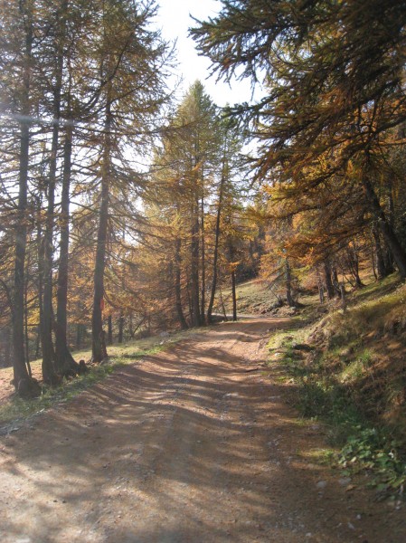 #1 Vers Les Plagnes : En route vers les Chaudannes! Vers Les Plagnes : En route vers les Chaudannes!