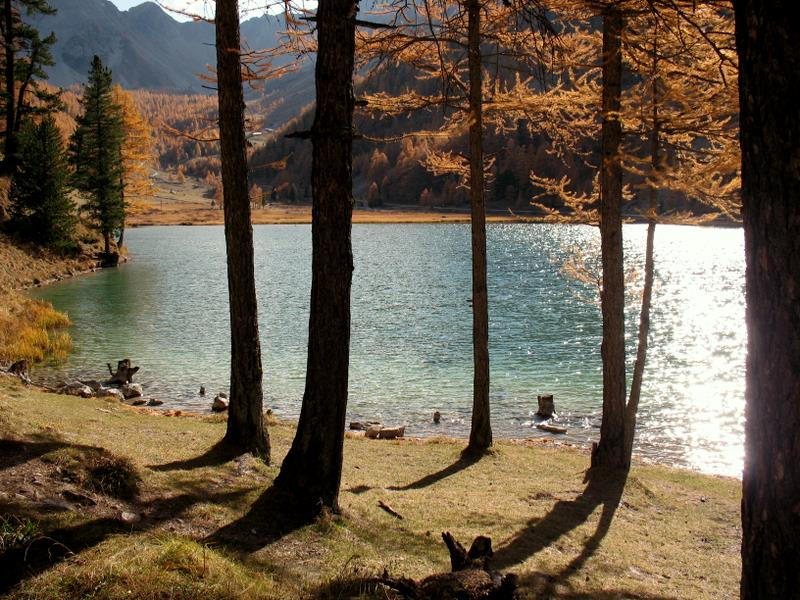 Lac de l'Orceyrette : Lumière d'automne