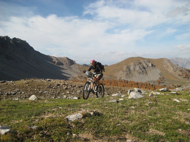 #6 Il y a même de l Il y a même de l'herbe verte !